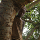 Illustration for article titled Shooting Baboons With Africa's Last Hunter-Gatherers